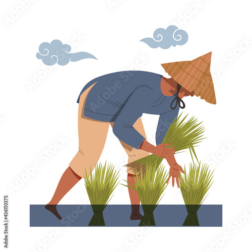 Asian Farmer in Straw Conical Hat Gathering Rice Grass in Bundles Vector Illustration