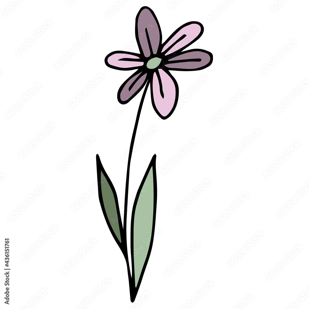 Doodle pink flower and green leaves. Black outline. White background. Vector image hand-drawn. Floral design for greeting cards, accessories. Baby style, cartoon style chamomile or gerbera.