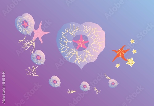 海月とヒトデのイラスト