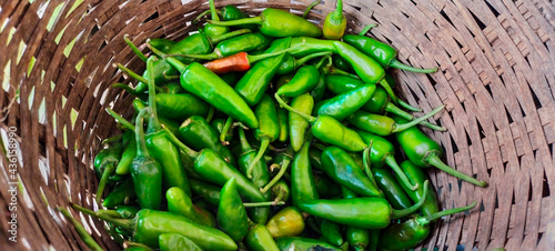 Fresh green chillies in a basket photo