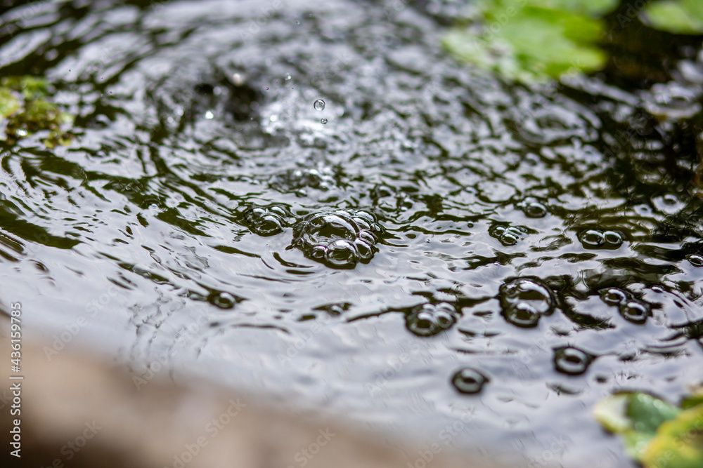 Air bubbles on the water surface in the fish pond from filling with