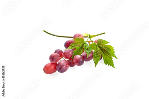 Ripe red grape. Bunch with leaves isolated on white background
