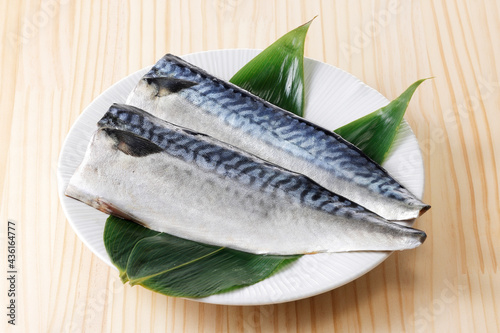 塩鯖 Salted mackerel