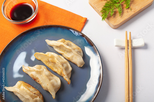 Plato de gyozas photo