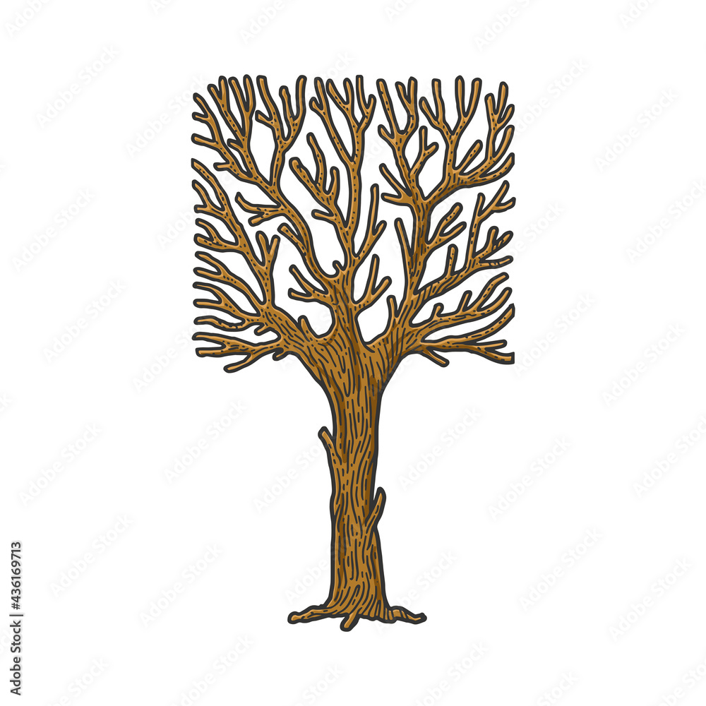 Naklejka premium square crown tree sketch raster illustration