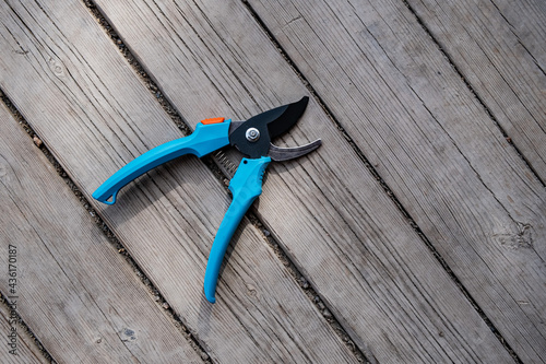 Gardener pruner with blue handles on a wooden floor. A tool for pruning branches