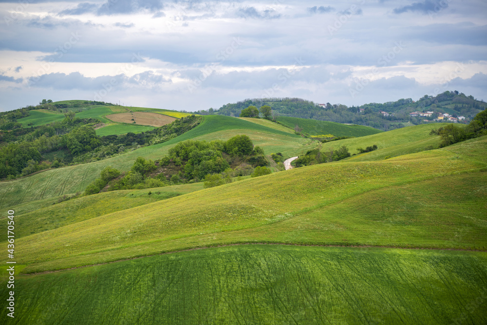 Paysage rural en Italie dans la région des Marches Paysage rural en Italie dans la région des Marches