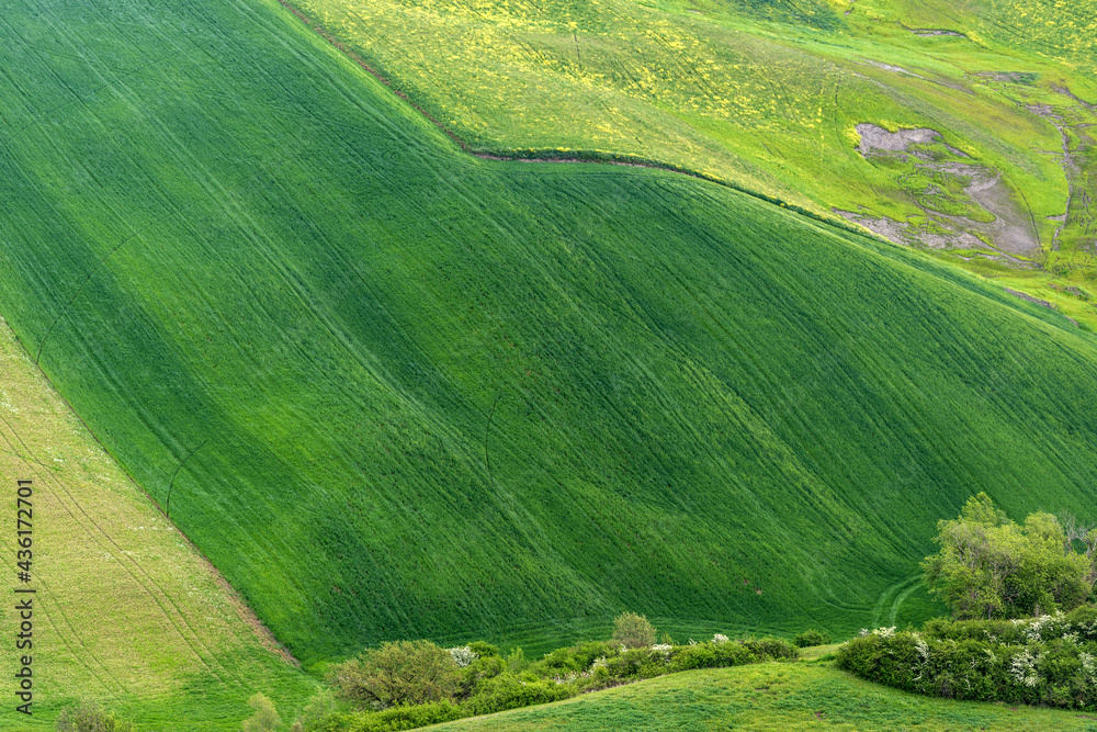 Paysage rural en Italie dans la région des Marches Paysage rural en Italie dans la région des Marches