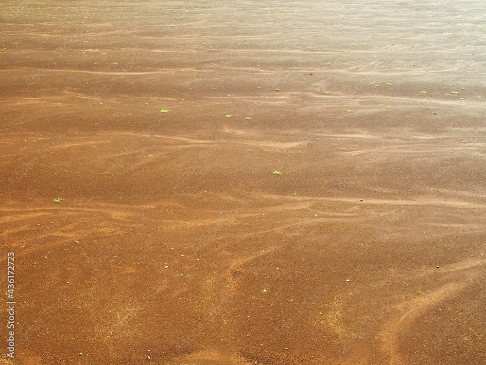 Fototapeta premium 春の休耕地風景