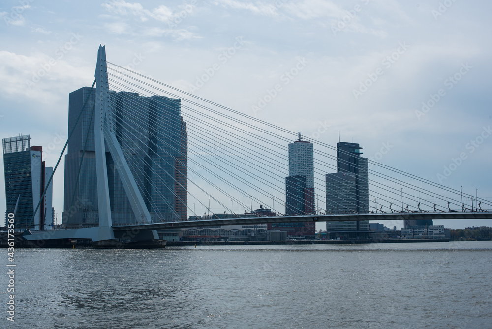 Erasmus bridge over the river in Rotterdam