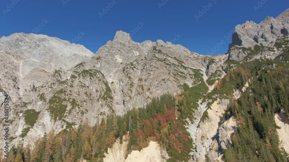 A rocky tree covered mountain side with a clear blue sky A rocky tree covered mountain side with a clear blue sky