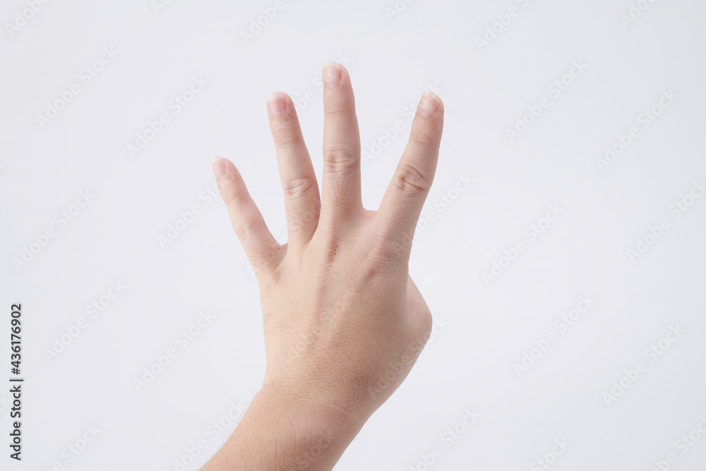 hands isolated on white background hands isolated on white background