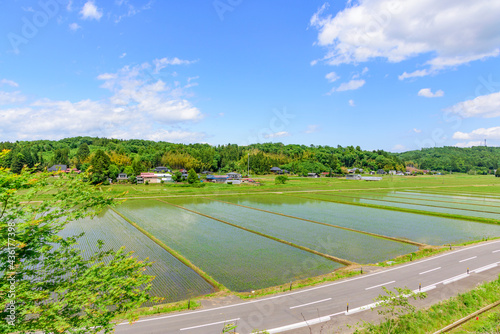 宮城 小さな村の田植えの後