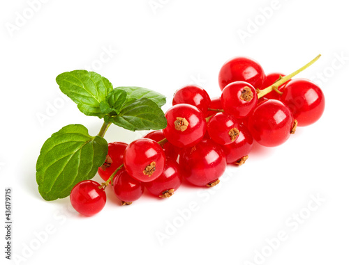 Organic redcurrant raceme isolated on white background