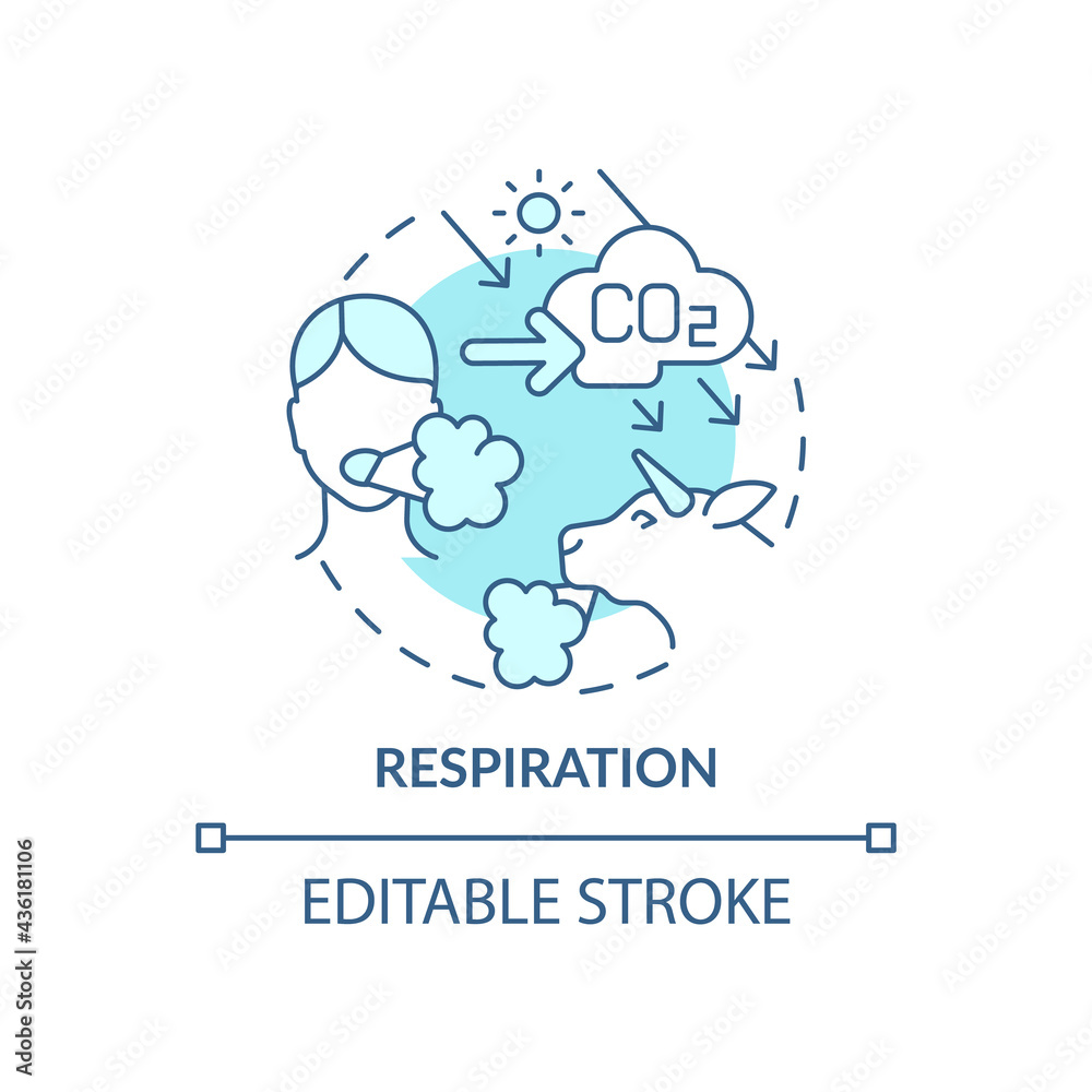 Respiration concept icon. Natural carbon emissions abstract idea thin line illustration. Consuming oxygen and carbon dioxide releasing. Vector isolated outline color drawing. Editable stroke