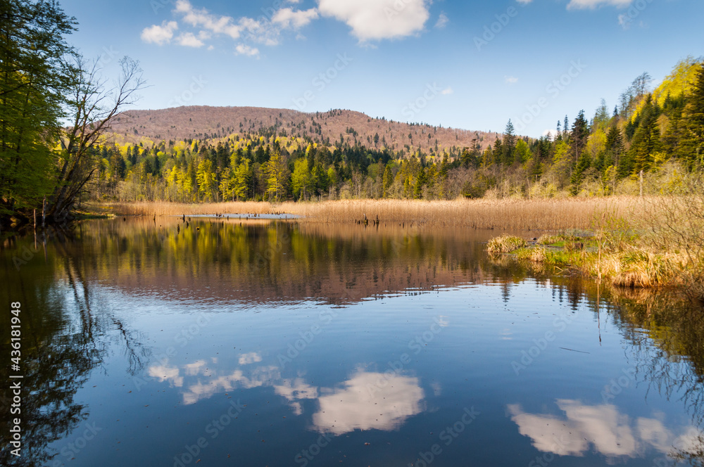 The Bobrowe Lake at the foot of the Chryszczata Mountain in the Baligród Forest District. Rabe, Bieszczady Mountains