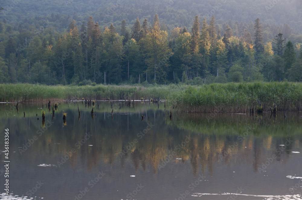 The Bobrowe Lake at the foot of the Chryszczata Mountain in the Baligród Forest District. Rabe, Bieszczady Mountains The Bobrowe Lake at the foot of the Chryszczata Mountain in the Baligród Forest District. Rabe, Bieszczady Mountains