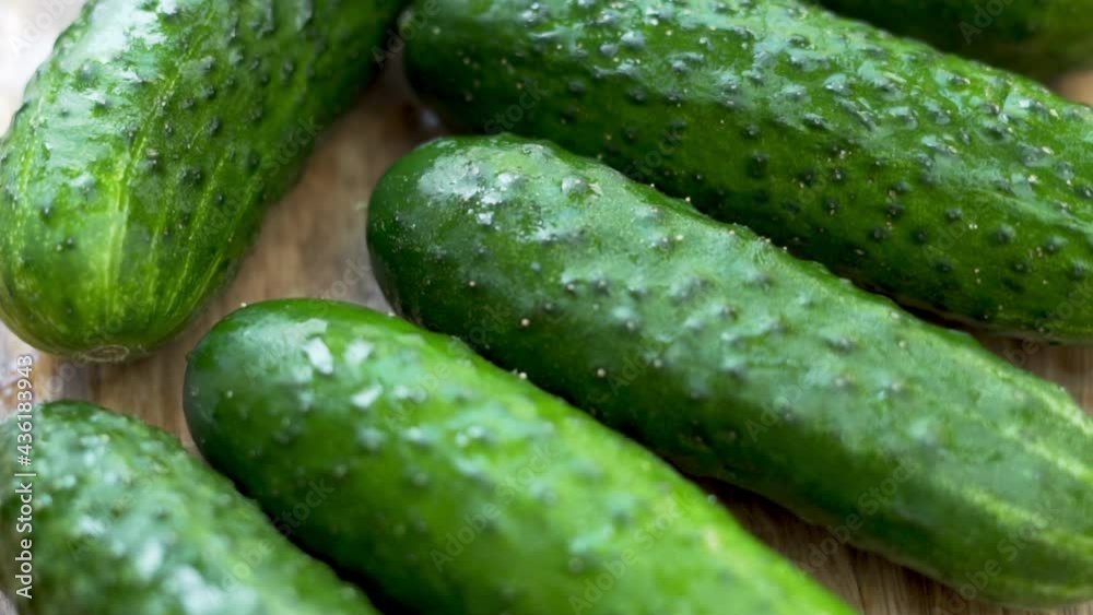 Ripe Cucumbers, Close-up, Isolated Rotate. Background of Fresh Green Cucumbers, Herbs, Vegetables. Healthy Vegetarian Food and Cucumber Diet. Harvest of Cucumbers. Ripe Cucumbers, Close-up, Isolated Rotate. Background of Fresh Green Cucumbers, Herbs, Vegetables. Healthy Vegetarian Food and Cucumber Diet. Harvest of Cucumbers.
