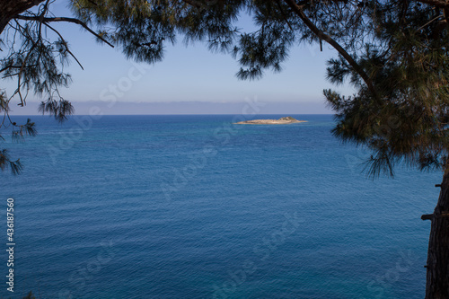 summer sea trees and island