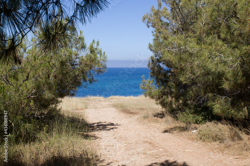 summer and dirt road to the sea