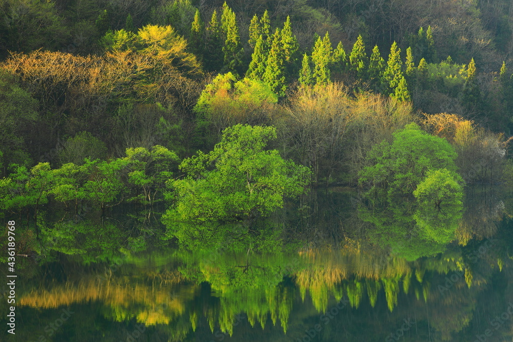 Fototapeta premium 岩手県西和賀町 新緑の錦秋湖