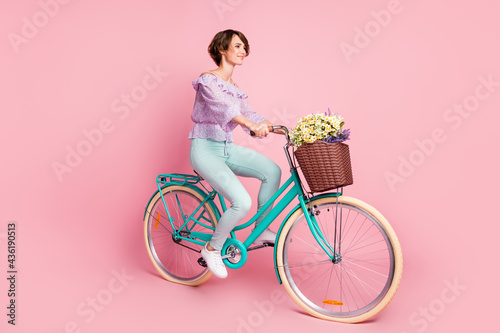 Fototapeta Naklejka Na Ścianę i Meble -  Full size profile side photo of young lovely pretty dreamy girl riding bicycle with flowers in basket isolated on pink color background