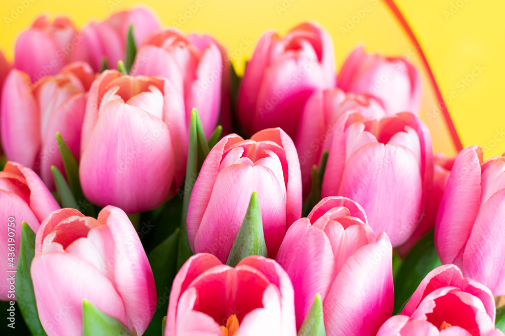 Fresh tulips. Pink tulips in a vase Fresh tulips. Pink tulips in a vase