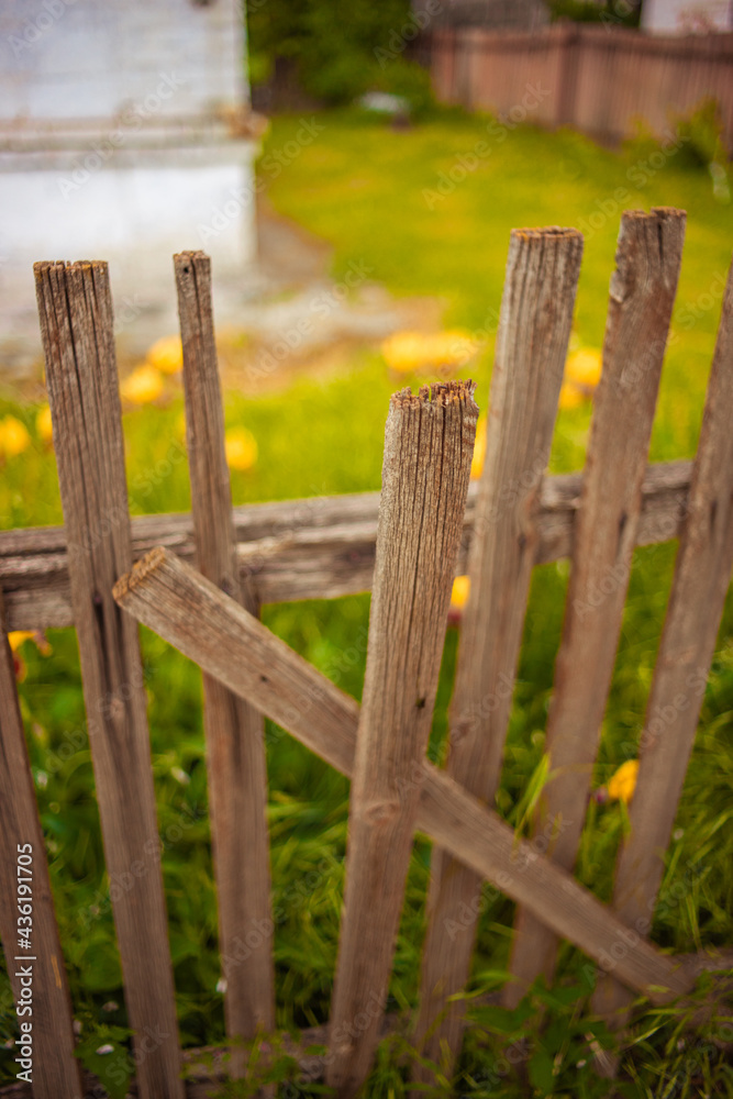 Old broken picket fence in rural garden