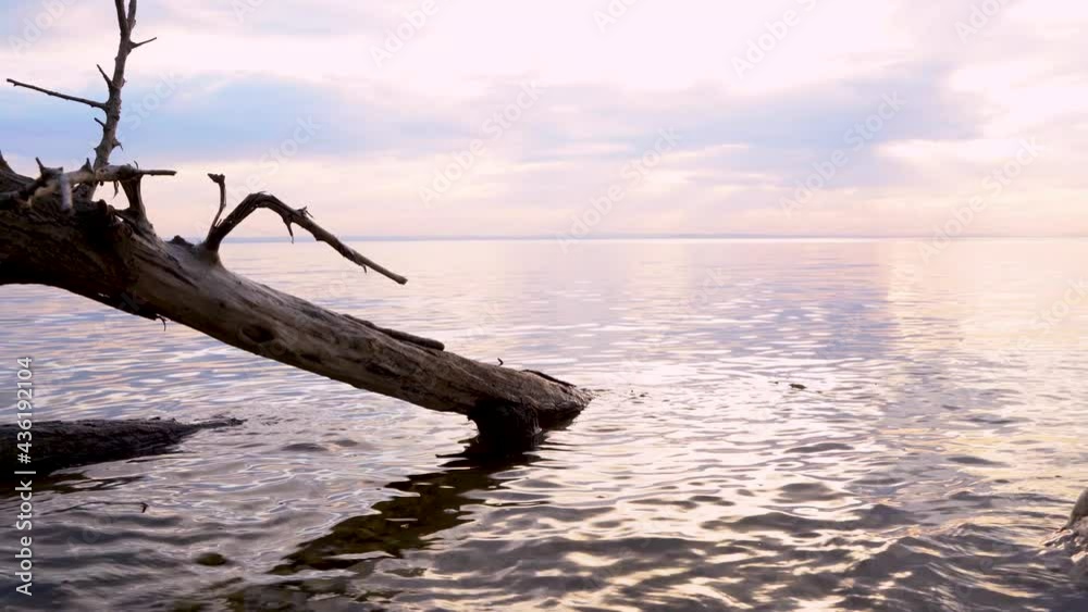 4k video. Calm sunset on the river, natural background and front focus 4k video. Calm sunset on the river, natural background and front focus