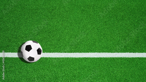 a soccer bal on the green grass
