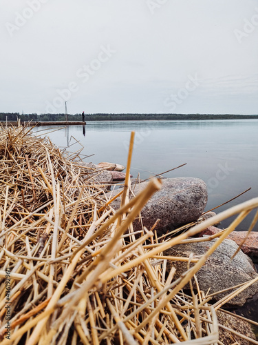 Scenic view of a lake in a forest with calm water on a cloudy day.