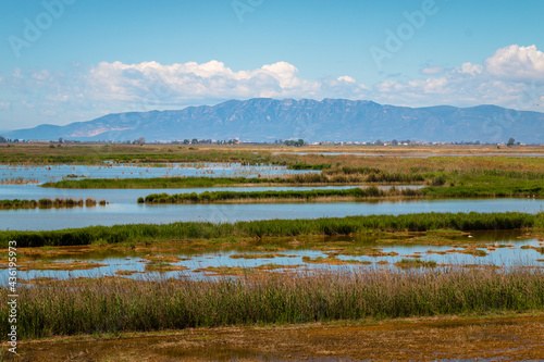 Picture of rice fields in Ebro Delta situated in Tarragona, Spain, with mountains, trees and clouds in the sky.