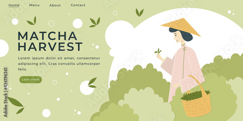 Landing page with Matcha attributes Vector Illustration.