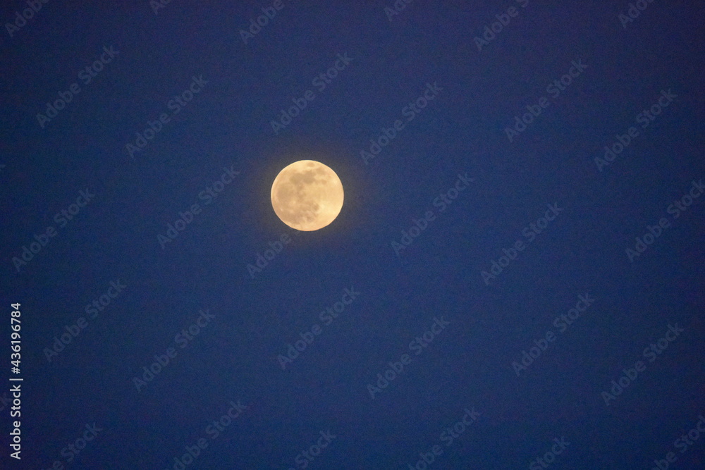 moon moon