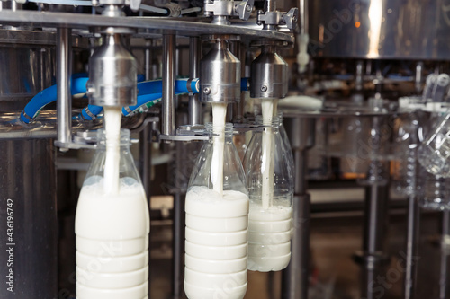 Fototapeta filling milk in to plastic bottles at the factory