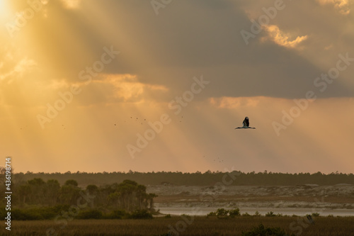 Εκτύπωση καμβά Beautiful sunset at Matananza inlet near St. Augustine Florida