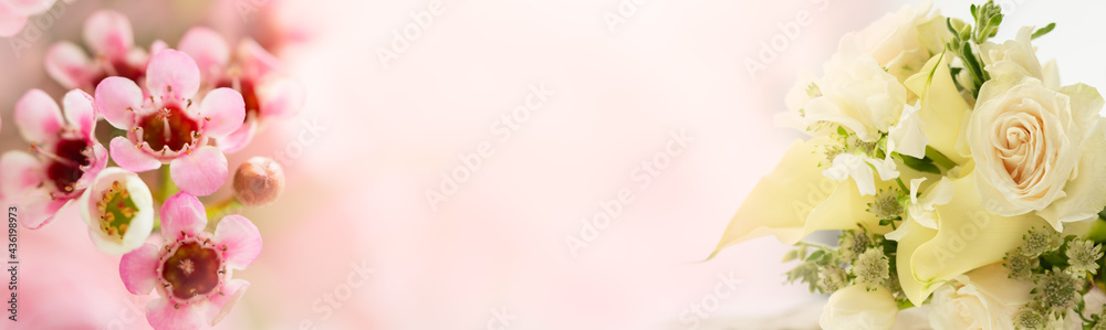 Nature of rose flower in garden using as background cover page natural flora valentine's day wallpaper Nature of rose flower in garden using as background cover page natural flora valentine's day wallpaper