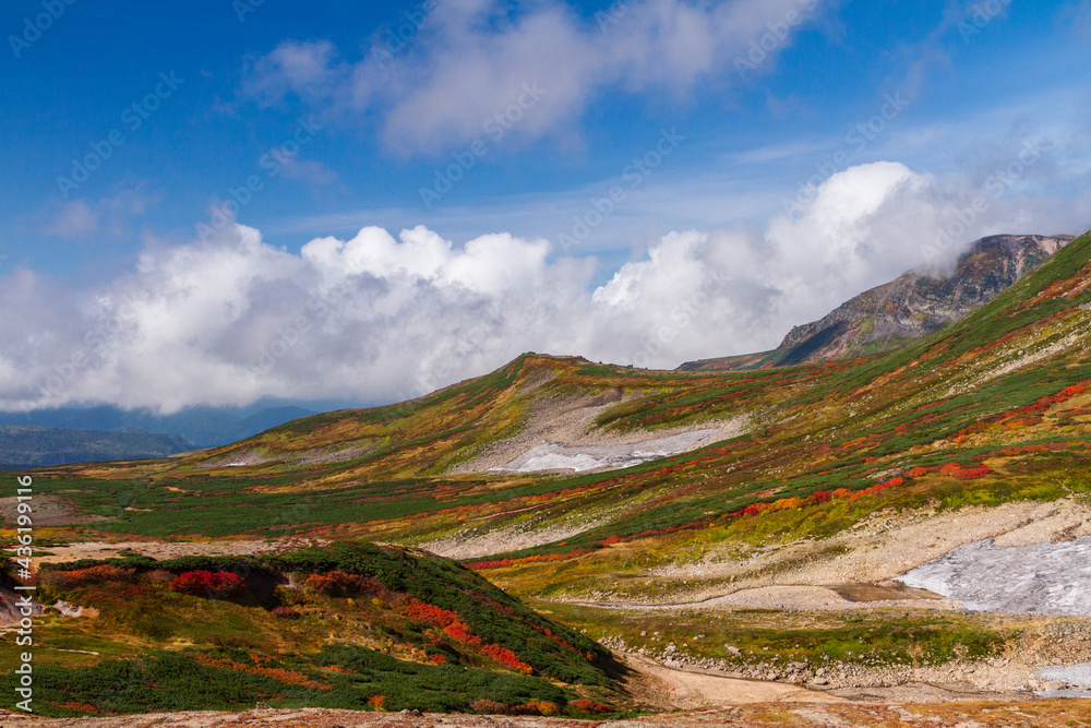 大雪山国立公園緑岳登山道の紅葉