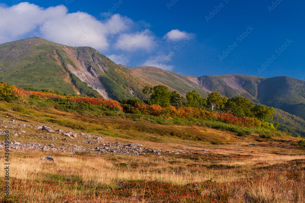 大雪山国立公園緑岳の紅葉