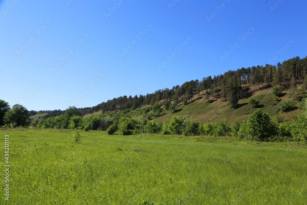 Fototapeta premium landscape in the mountains