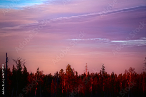 Orange and purple sunset clouds over Swedish forest