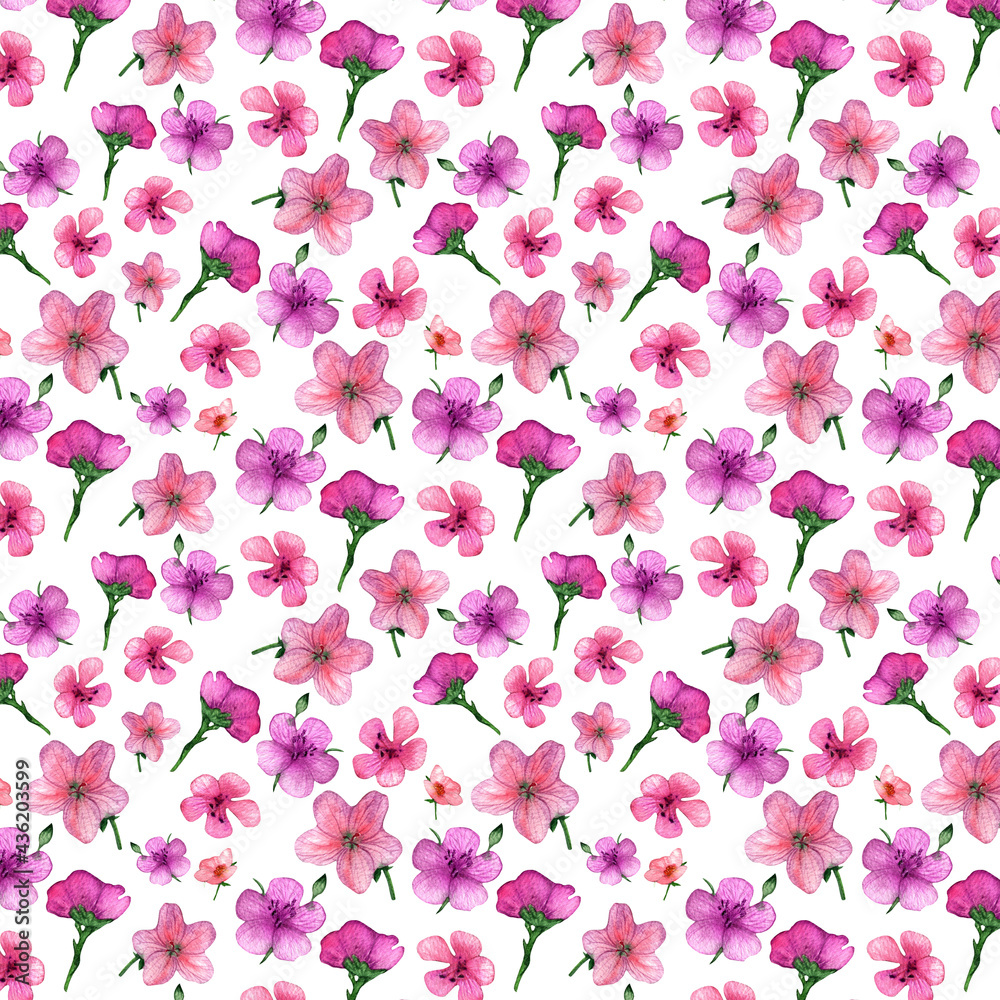 Botanical pattern..Watercolor flower pattern.Hand drawn watercolor element on white background.