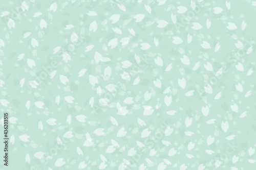 Cherry blossom or sakura leaves falling on light green japanese traditional beautiful background.