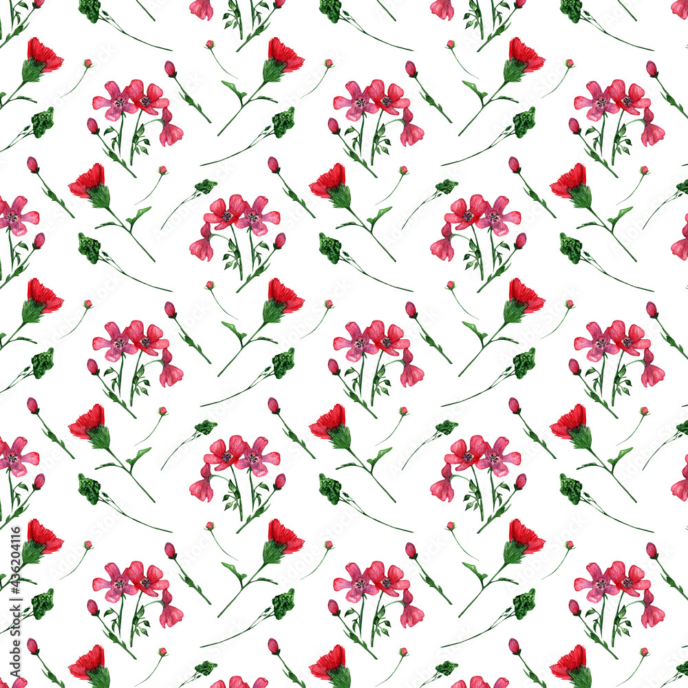 custom made wallpaper toronto digitalWildflower pattern.Watercolor flower pattern.Hand drawn watercolor element on white background.