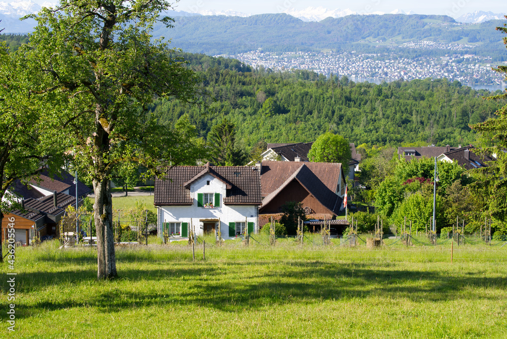 Panorama view from hill at City of Zurich over canton Zurich at springtime. Photo taken May 28th, 2021, Zurich, Switzerland.