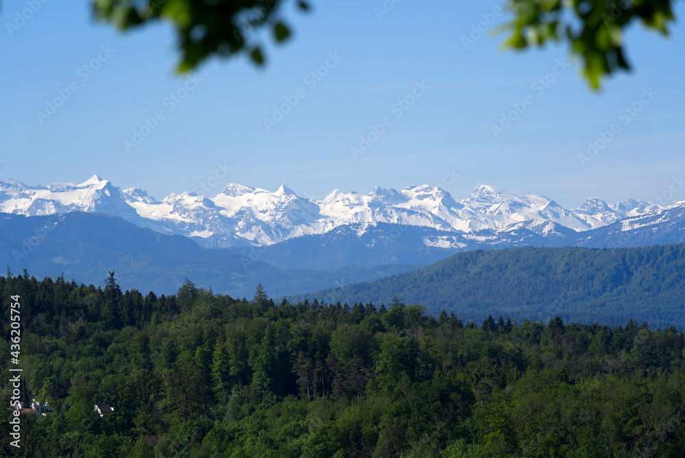 Panoramic view on Swiss alps from hill at City of Zurich at springtime. Photo taken May 28th, 2021, Zurich, Switzerland.