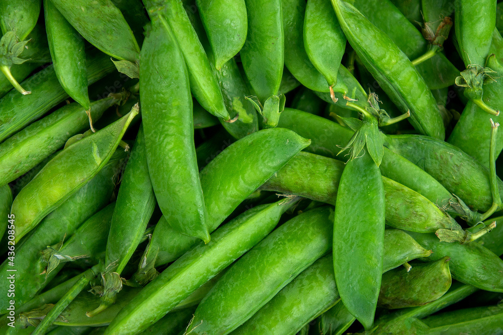 pods of harvested green peas background close-up top view pods of harvested green peas background close-up top view
