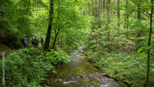 Beautiful path in the forest along a shallow fast mountain river. Fresh green foliage on trees. People group hiking up the trail along the river.