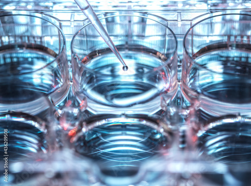Petri dish and pipette