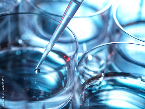 Petri dish and pipette